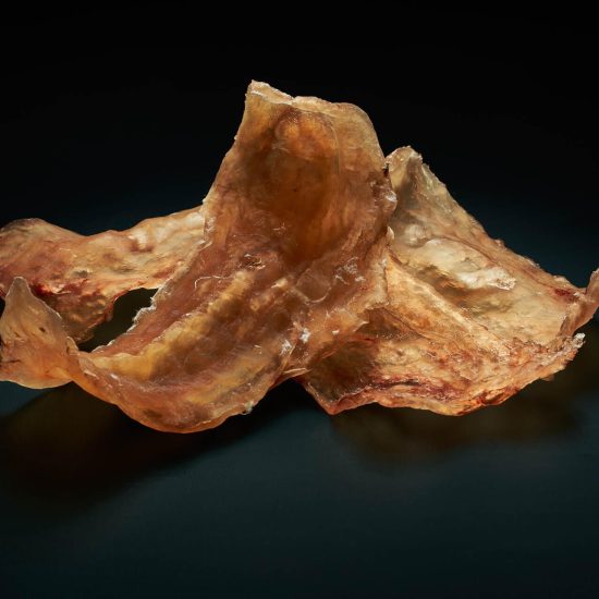 Pink Ling Fish Maw